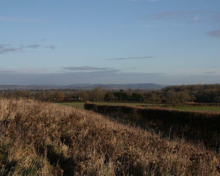 Cherry Orchard Farm South Wraxall Exteriér fotografie