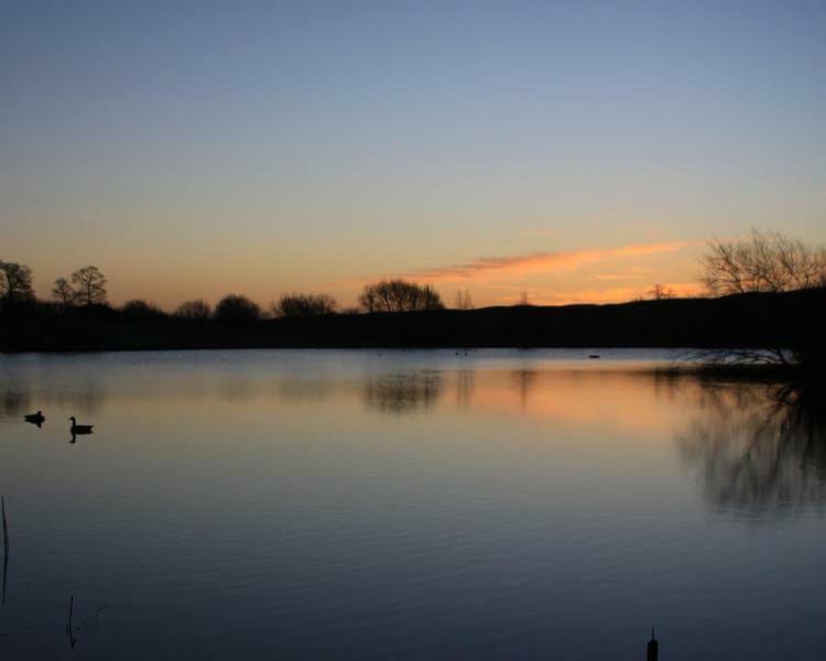 Cherry Orchard Farm South Wraxall Exteriér fotografie